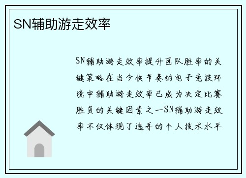 SN辅助游走效率