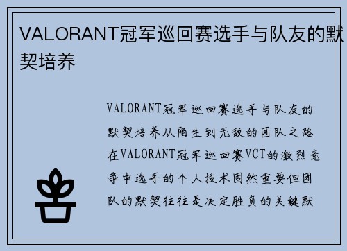 VALORANT冠军巡回赛选手与队友的默契培养